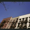 Block 200: Catherine Street between Madison Street and Henry Street (north side)