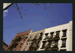 Block 200: Catherine Street between Madison Street and Henry Street (north side)