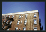 Block 200: Madison Street between Market Slip and Catherine Street (west side)