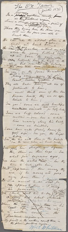 long paper manuscript of poem