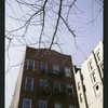 Block 201: Market Slip between East Broadway and Henry Street (south side)