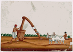Male miller with two oxen, seated man in the background