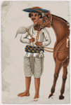 Servant with brown horse in striped belt and hat