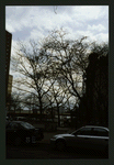 Block 204: Monroe Street between Market Slip and Pike Slip (east side)