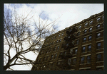 Block 214: Henry Street between Pike Slip and Rutgers Street (east side)