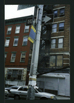 Block 214: Rutgers Street between Henry Street and Madison Street (south side)