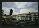 Block 214: Madison Street between Rutgers Street and Pike Slip (west side)
