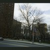 Block 215: Madison Street between Pike Slip and Rutgers Street (east side)