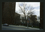 Block 215: Madison Street between Pike Slip and Rutgers Street (east side)