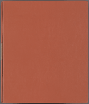 Outline for The Bonfire of the Vanities