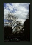 Block 215: Madison Street between Pike Slip and Rutgers Street (east side)