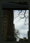 Block 215: Cherry Street between Rutgers Street and Pike Slip (west side)