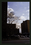 Block 215: Pike Slip between Cherry Street and Madison Street (north side)