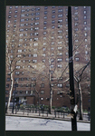 Block 215: Pike Slip between Cherry Street and Madison Street (north side)