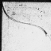 Adams, H. G. ALS to
