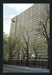 Block 217: Rutgers Slip between South Street and Cherry Street (north side)