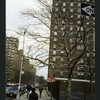 Block 217: Rutgers Slip between South Street and Cherry Street (north side)