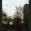 Block 217: Cherry Street between Rutgers Slip and Clinton Street (east side)