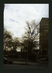 Block 217: Cherry Street between Rutgers Slip and Clinton Street (east side)