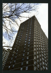 Block 217: Cherry Street between Rutgers Slip and Clinton Street (east side)