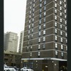 Block 217: Cherry Street between Rutgers Slip and Clinton Street (east side)