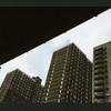 Block 217: South Street between Clinton Street and Rutgers Slip (west side)