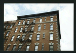 Block 219: Rutgers Street between Madison Street and Henry Street (north side)