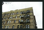 Block 219: Jefferson Street between Henry Street and Madison Street (south side)