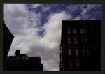 Block 219: Madison Street between Jefferson Street and Rutgers Street (west side)