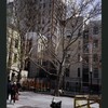 Block 220: Rutgers Street between Henry Street and East Broadway (north side)