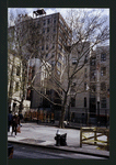Block 220: Rutgers Street between Henry Street and East Broadway (north side)