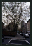 Block 222: Henry Street between Jefferson Street and Clinton Street (east side)