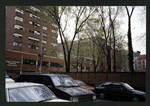Block 222: Jefferson Street between Madison Street and Henry Street (north side)