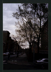 Block 222: Jefferson Street between Madison Street and Henry Street (north side)