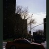 Block 225: Madison Street between Clinton Street and Montgomery Street (east side)
