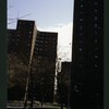 Block 225: Madison Street between Clinton Street and Montgomery Street (east side)