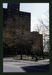 Block 225: Madison Street between Clinton Street and Montgomery Street (east side)