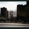 Block 225: Madison Street between Clinton Street and Montgomery Street (east side)