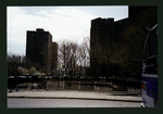 Block 225: Madison Street between Clinton Street and Montgomery Street (east side)