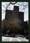 Block 225: Montgomery Street between Madison Street and Cherry Street (south side)
