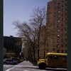 Block 225: Montgomery Street between Madison Street and Cherry Street (south side)