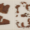 Fragments of the skull of Percy Bysshe Shelley