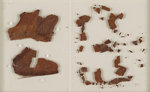 Fragments of the skull of Percy Bysshe Shelley