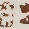Fragments of the skull of Percy Bysshe Shelley