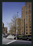 Block 225: Cherry Street between Montgomery Street and Clinton Street (west side)