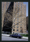 Block 225: Clinton Street between Cherry Street and Madison Street (north side)