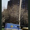 Block 225: Clinton Street between Cherry Street and Madison Street (north side)