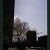 Block 226: Cherry Street between Clinton Street and Montgomery Street (east side)