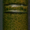 Stafford, Harry, APCS to. Feb. 24, [1881]. 