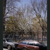 Block 229: Water Street between Gouverneur Street and Montgomery Street (west side)